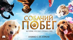 Собачий побег (2023) трейлер
