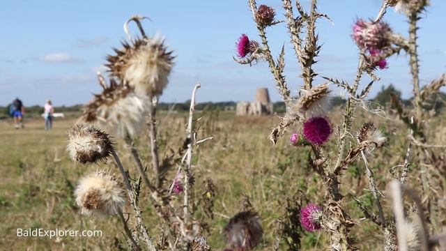 Norfolk Heritage Explored: St Benet's Abbey And Windmill