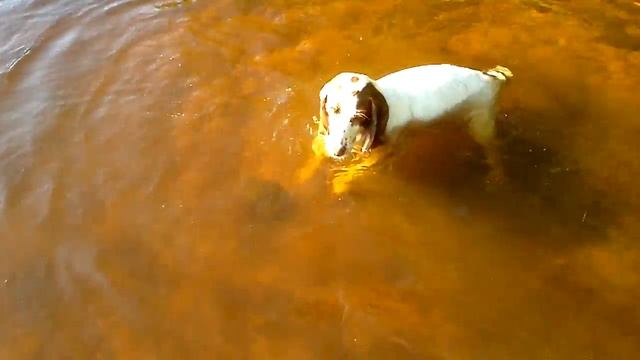 Мотильда смотреть онлайн