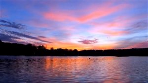 Владимир Асмолов.Скука.