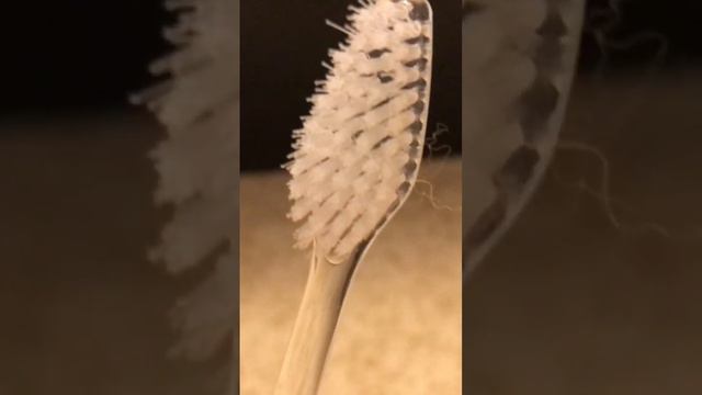 Какие ресурсы нужны для ухода за морской свинкой смотреть онлайн