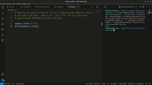 2.2 ¿Qué es un Float en Python? | Aprende Python desde 0 смотреть онлайн