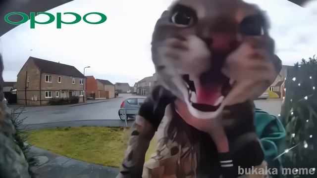 Cat Meows into door camera meme but famous phone ringtones (2) смотреть онлайн