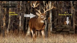 Песня про Оленей: "Жизнь оленя такова"...