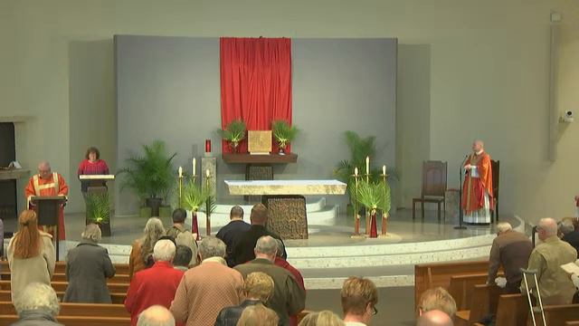 Celebration of Mass: Palm Sunday of the Passion of the Lord смотреть онлайн
