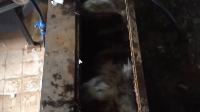 Мойка пленки ПНД, ПВД, Стрейч. Ванна флотации в работе. смотреть онлайн