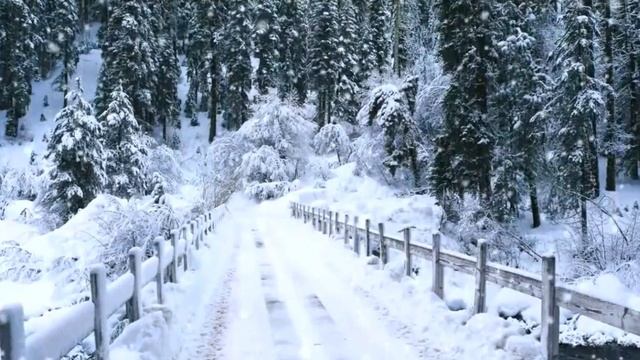 Бог смотреть онлайн