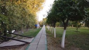 Астрахань , обзор базы "Золотой лотос"