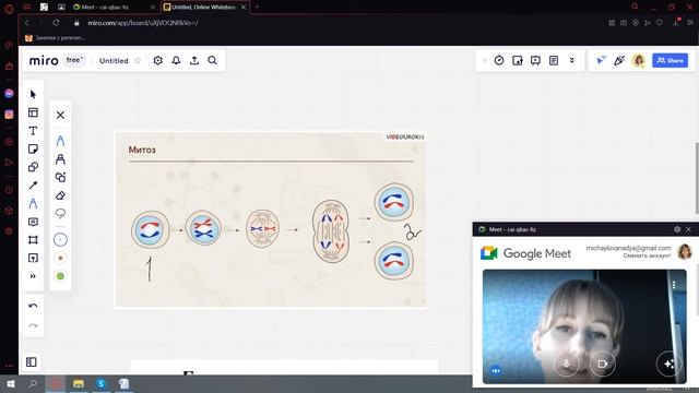 Митоз смотреть онлайн