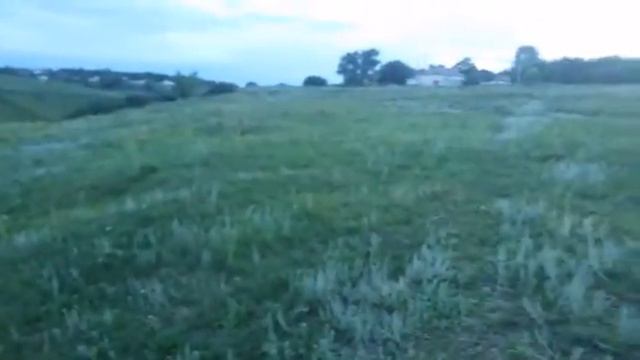 очередной коп.