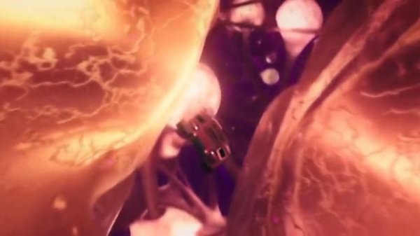 MUSE - The Dark Side