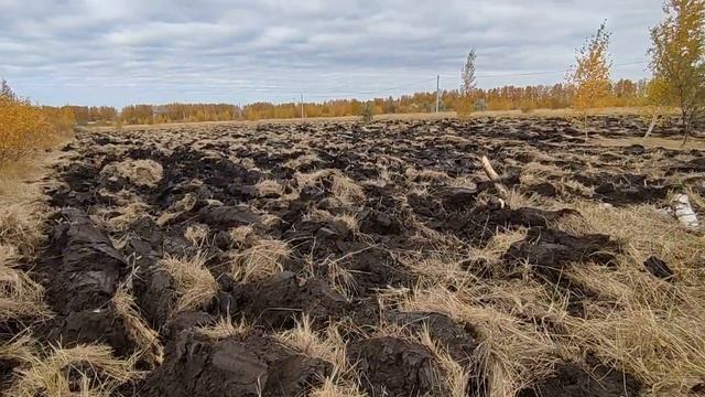 Проект "Моя Усадьба"вспашка участка и дальнейшие планы. смотреть онлайн