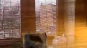 МАЛОЙ ПЛАЧЕТ,И НЕ ХОЧЕТ ДЕЛАТЬ УРОКИ