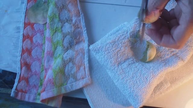 Роза "Память о лете" обработка лепестков. часть 4 смотреть онлайн