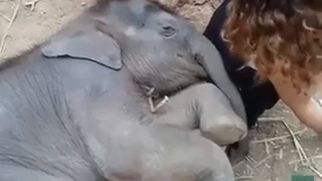 Они люди! смотреть онлайн