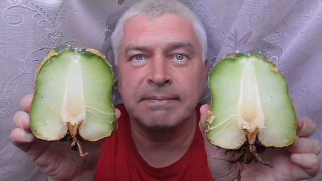 У человека кактус. Как выглядит разрезанный кактус смотреть онлайн