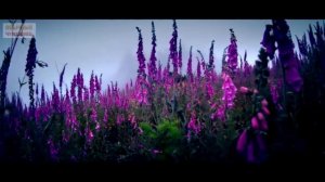 Дуа родителей за своих детей. Дуа за детей. Дуа для послушания детей