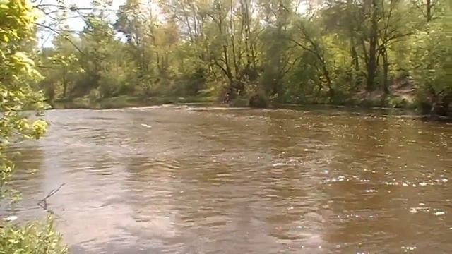 Влог: отдых и рыбалка на реке Свияге! смотреть онлайн