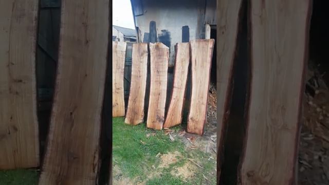 Первый запуск ленточной пилорамы смотреть онлайн