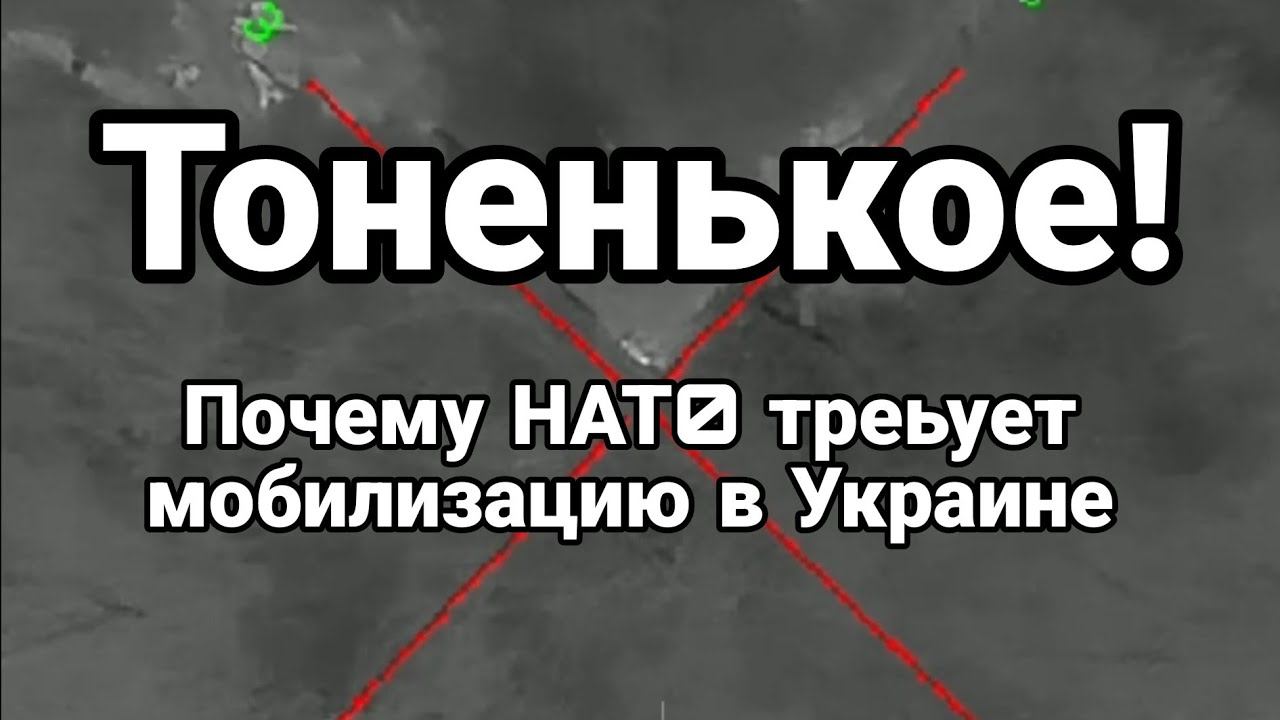 Т0НЕНЬК0Е! П0ЧЕМУ НАТ0 ТРЕБУЕТ УСИЛЕНИЕ М0БИЛИЗАЦИИ