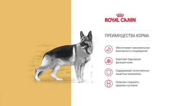 German Shepherd смотреть онлайн