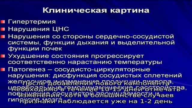 Признаки пищевой аллергии у собак и методы лечения смотреть онлайн
