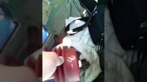 Замена помпы газ 3309 дизель