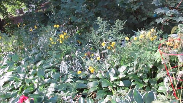 Urban Cottage Garden Tour | Miraculous Light Show ft Butternut Squash & Flowers| Catherine's Garde смотреть онлайн