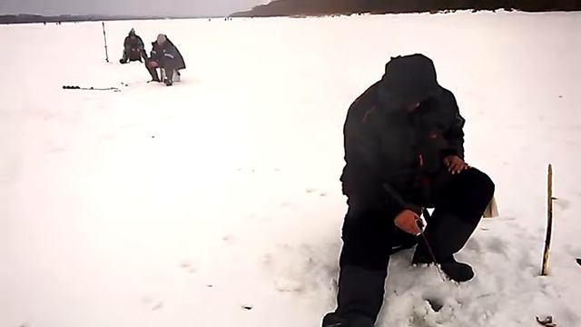 С безмотылкой гуляем по Оке. смотреть онлайн