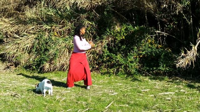 Biospirals Pa Tuan Chin complete set смотреть онлайн