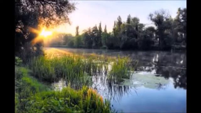 « Случай на рыбалке » смотреть онлайн