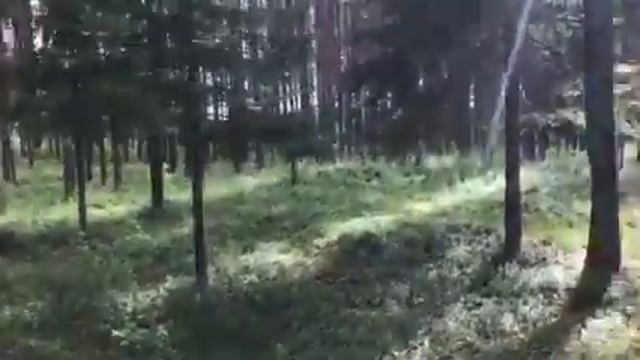 Что важнее деньги или знания. смотреть онлайн