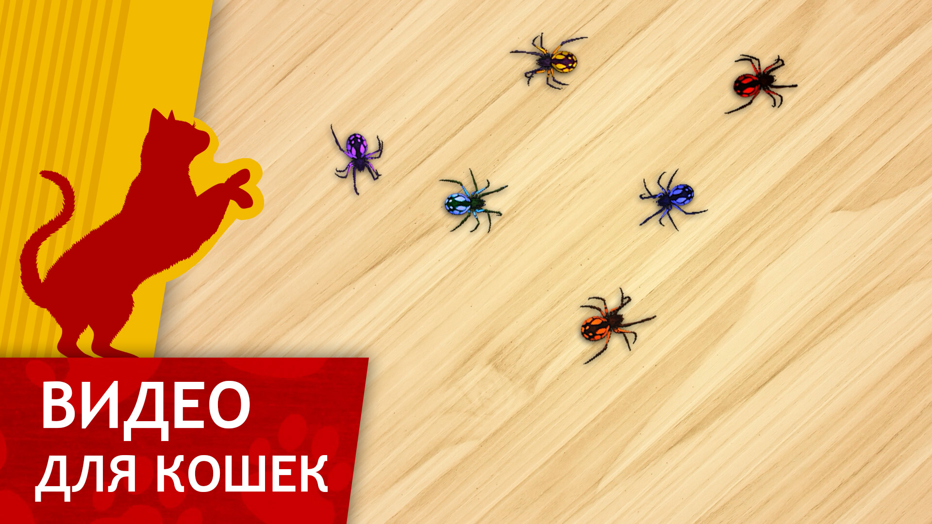 Видео для кошек - Игрушечные паучки (Развлеки Кота)