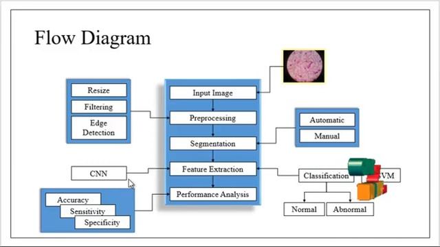 Python Image Processing Project - Automatic Detection of White Blood Cancer - ClickMyProject смотреть онлайн