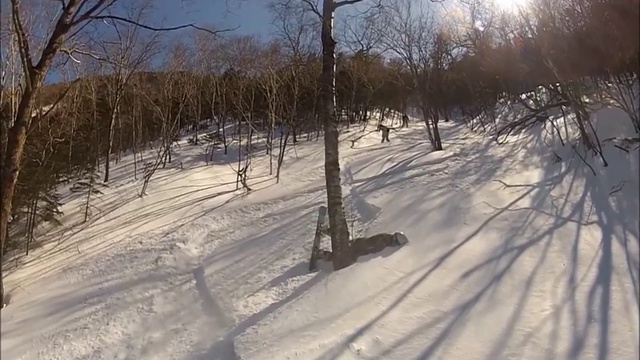 Фалаза фрирайд