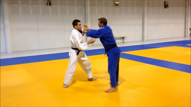 Morote seoi nage & variations (Partie 2) смотреть онлайн