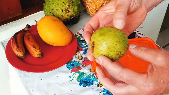 Обзор фруктов на Шри-Ланке #1/Экзотические фрукты смотреть онлайн