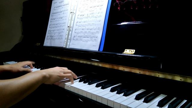 You Are My World - Yoon Mi Rae (Legend of The Blue Sea Piano Cover Kawai K300) смотреть онлайн