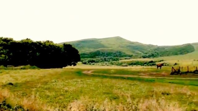 Тихая моя Родина смотреть онлайн