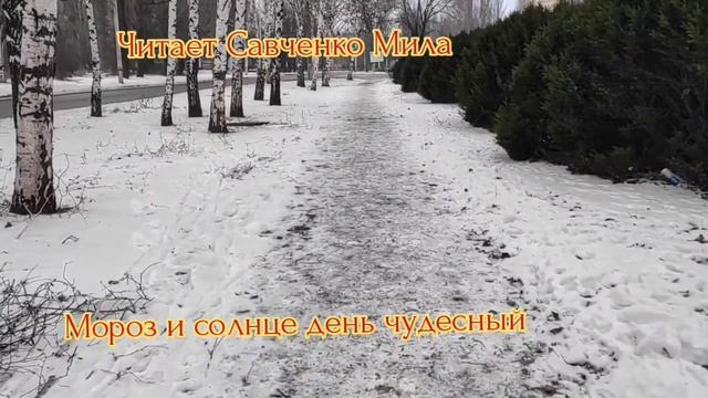 Александр Пушкин- Зимнее утро ( Мороз и солнце день чудесный) читает Савченко Мила смотреть онлайн
