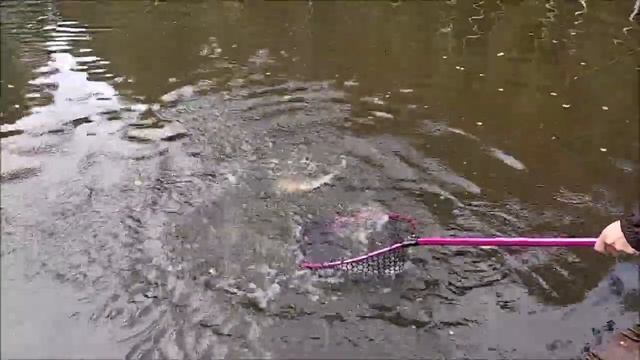 Сегодня в приоритете блесна, спорт-зона. Клёвое место Лосиный остров. смотреть онлайн