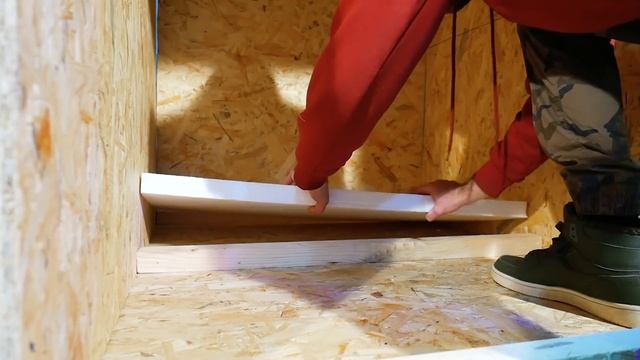 Что СЛУЧИЛОСЬ с НАШИМИ СОБАКАМИ?