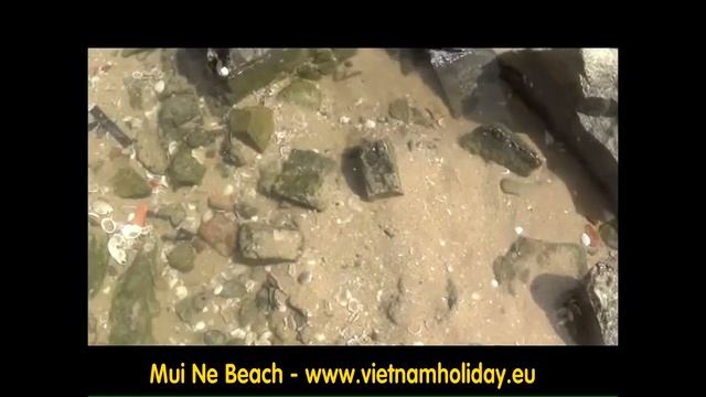 Аэропорт Хо Ши Мин в Муй Фантхиет смотреть онлайн