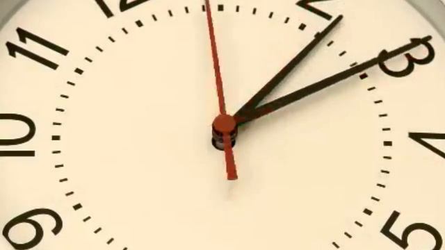 Amaryllis Is Jet Lagged смотреть онлайн