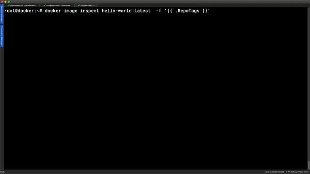 Understanding a Docker Image Tags with Inspect and File locations смотреть онлайн