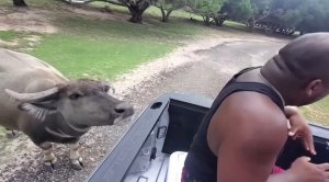 Смешные приколы Февраль 2023 #80