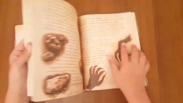 Настоящий,ну почти настоящий дневник из Гравити Фолз(обзор!!!!) смотреть онлайн