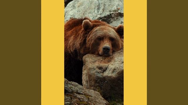 Хорошего настроения! смотреть онлайн