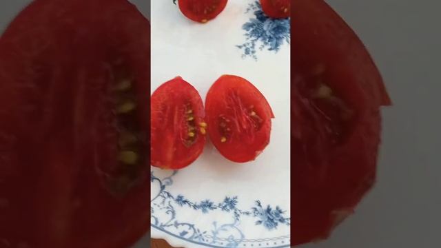 Обзор сортов томатов. Дегустация. Какие понравились, а какие нет смотреть онлайн