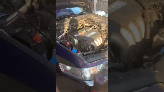 Engine running after timing chain changed Honda Accord 2.0 Petrol смотреть онлайн
